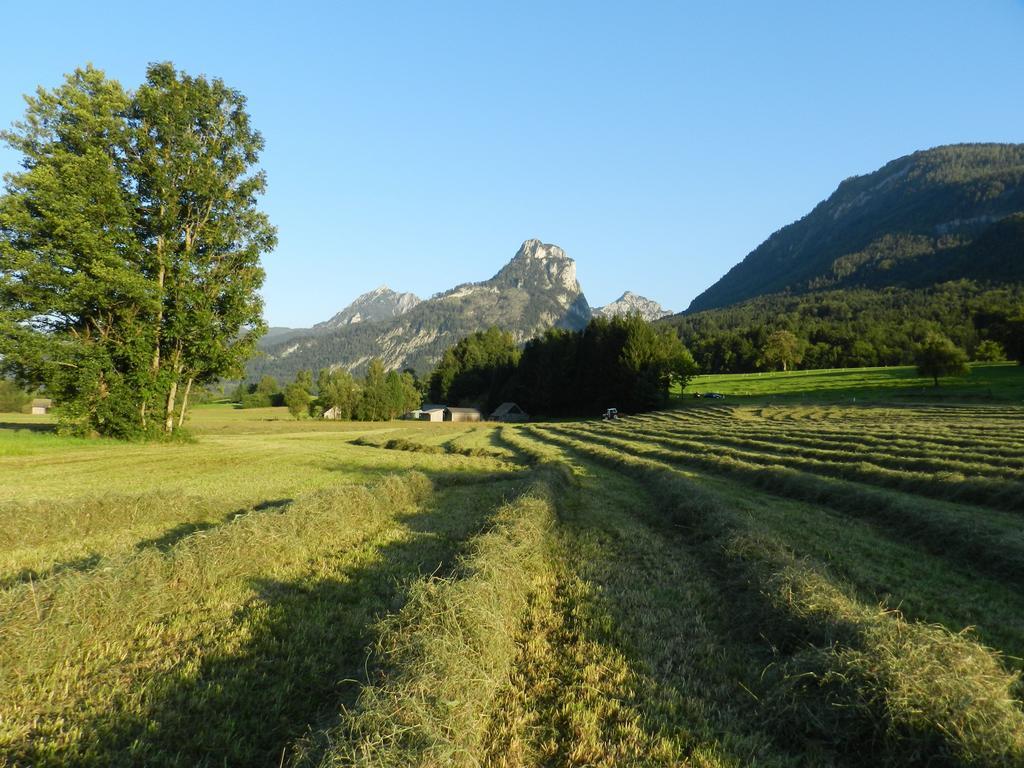 Gasthof Wiesenhof Strobl Exterior foto